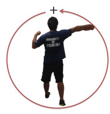 円盤投動作中の角運動量の獲得について
